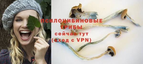соль курить ск Ельня