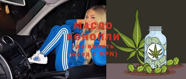 дмт Дмитров