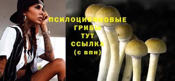 прущая мука Елизово
