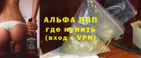 дмт Дмитров