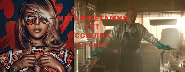 дмт Дмитров
