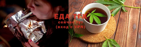 дмт Дмитров