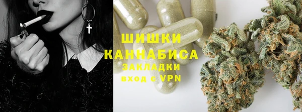 дмт Дмитров