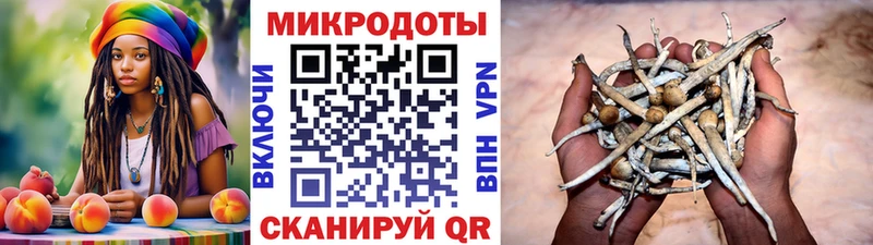 Купить закладки  Оса  Псилоцибиновые грибы Magic Shrooms 